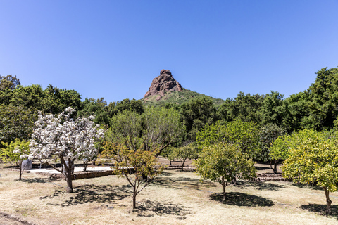 Malibu: Caminhada guiada pelos vinhedos com paradas para fotos e vinho