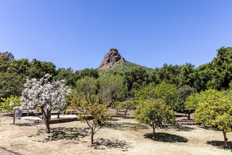 Malibu: Wijngaardwandeling met gids, fotostops en wijn