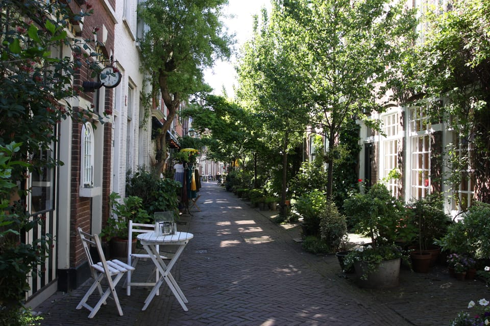 Haarlem walking tour highlights audio and gps guided GetYourGuide