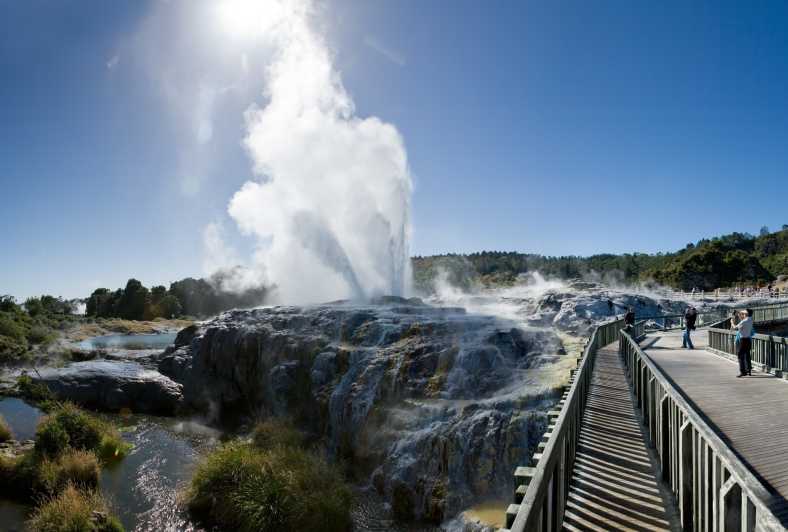 Rotorua : Visite guidée de la vallée géothermique de Te Puia avec billets