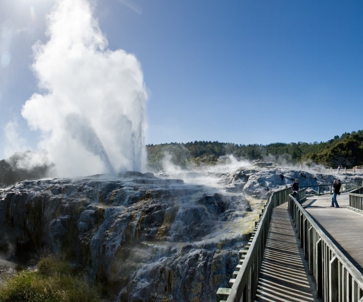 Rotorua: Te Puia Geothermal Valley Guided Tour with Tickets