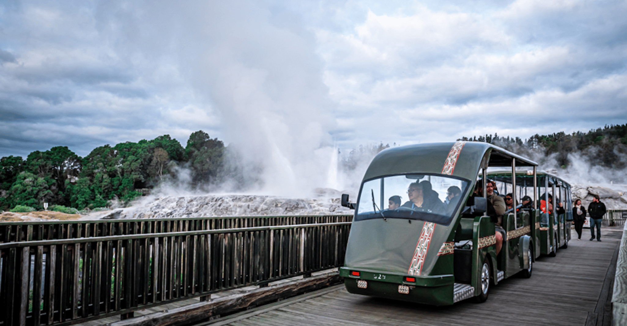 Rotorua, Te Puia Geothermal Valley Guided Tour with Tickets - Housity