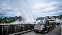 Rotorua, Te Puia Visite guidée de la vallée de la géothermie avec billets - Hizvo