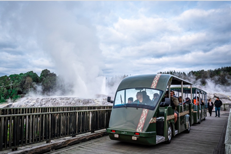 Rotorua: Guided Tour of Te Puia Geothermal Valley