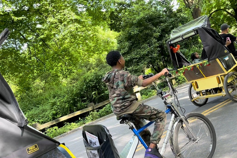 NYC: Central Park Pedicab Highlights Tour1 timmes rundtur