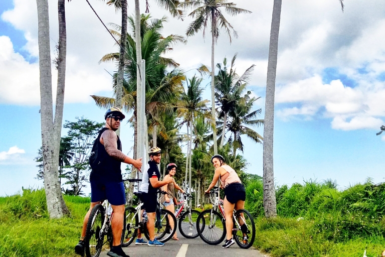 Excursion culturelle à Ubud en vélo de descente et visite des rizières en terrassesOption standard