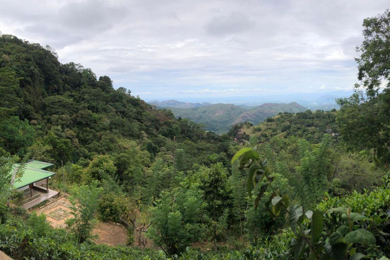 Kalupahana 6 Puntos: Cascadas de Ella, Senderismo, Pozas Naturales