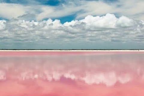 Tour to Las Coloradas and Rio Lagartos from Merida