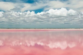 Las Coloradas: Excursiones de un día desde Mérida (Yucatán)