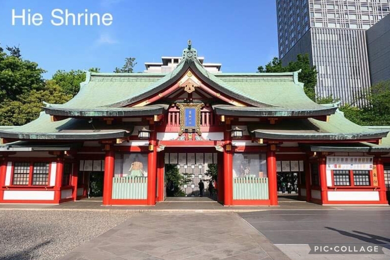 Private 12hrs Full day Tokyo Tour Private Full day Tokyo Tour