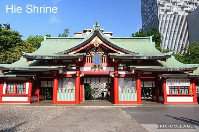 Private 12hrs Full day Tokyo Tour Private Full day Tokyo Tour