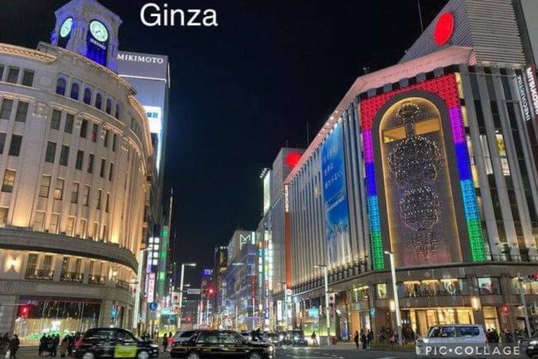 Tokyo: Tour panoramico privato di un giorno intero con servizio di prelievo in hotel