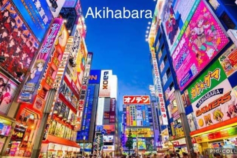 Prywatna 12-godzinna całodniowa wycieczka po TokioPrywatna całodniowa wycieczka po Tokio