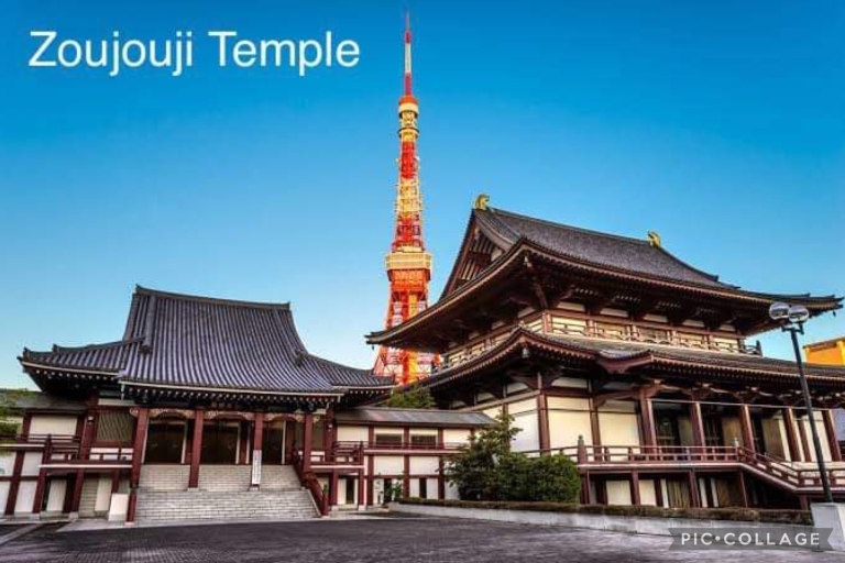 Prywatna 12-godzinna całodniowa wycieczka po TokioPrywatna całodniowa wycieczka po Tokio