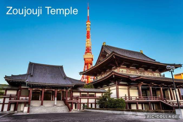 Tokyo: Private Full-Day Sightseeing Tour with Hotel Pickup