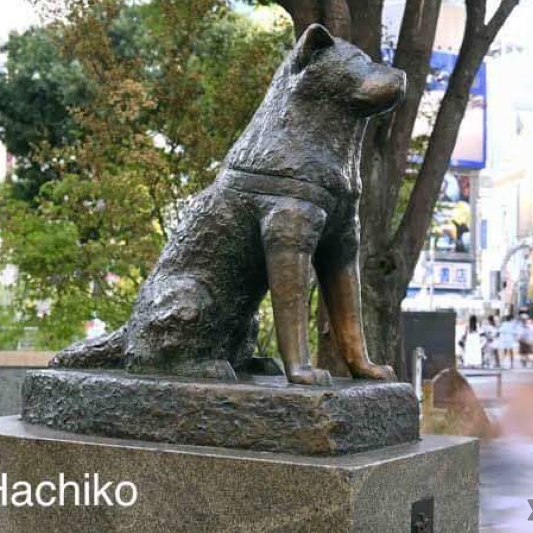 メディア コラージュ