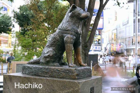 Tokyo: Tour panoramico privato di un giorno intero con servizio di prelievo in hotel