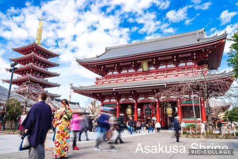 Tokyo: Tour panoramico privato di un giorno intero con servizio di prelievo in hotel