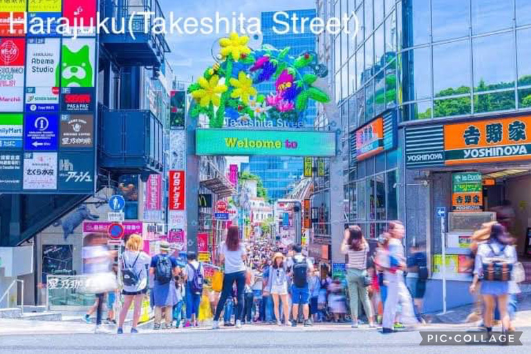 Private 12hrs Full day Tokyo Tour Private Full day Tokyo Tour