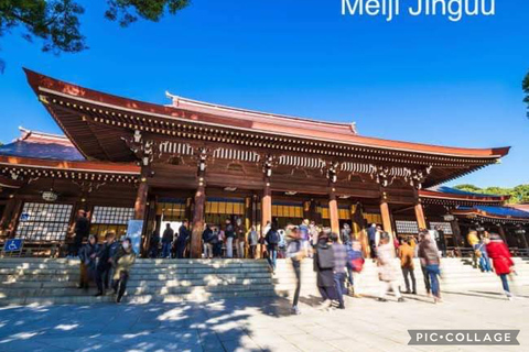 Tokyo: Tour panoramico privato di un giorno intero con servizio di prelievo in hotel