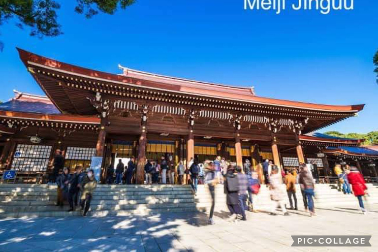 Tokyo: Tour panoramico privato di un giorno intero con servizio di prelievo in hotel