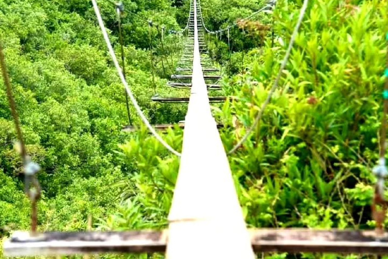 Ilhas Maurício: Tour particular de um dia a sudoesteMaurício: excursão privada de um dia ao sudoeste