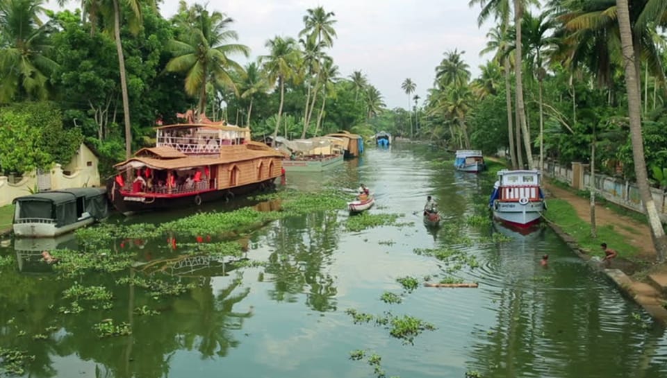 From Kochi: 7-Day Kerala Tour Package with Accommodation | GetYourGuide