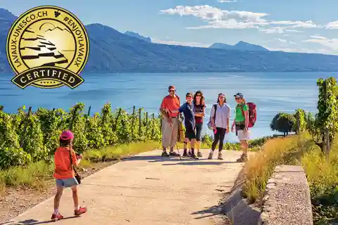 Offentliga rundturer på söndagar i Lavaux på franska