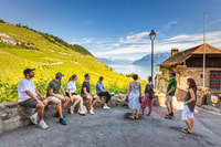 Visites publiques le dimanche à Lavaux en français - Housity