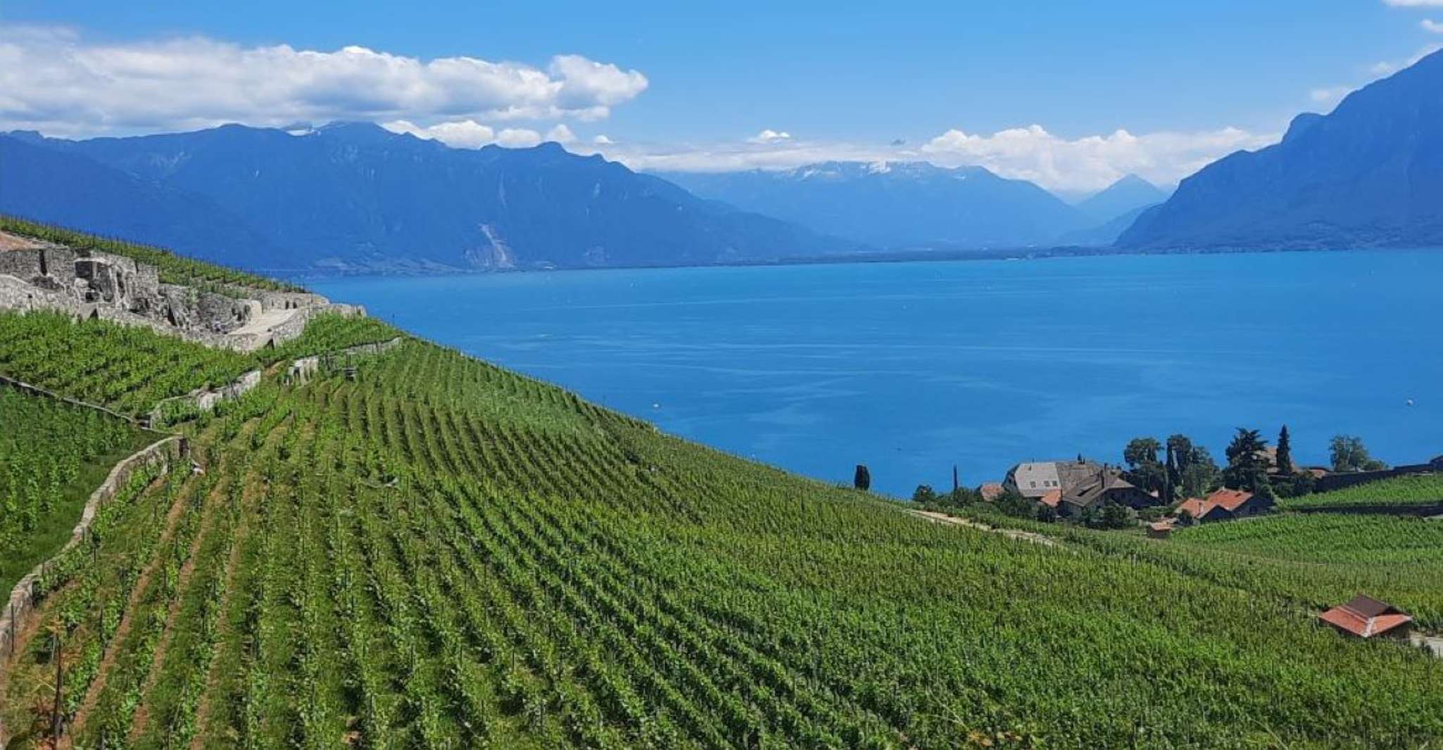 Tour pubblici la domenica a Lavaux in francese - Housity