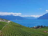 Visites publiques le dimanche à Lavaux en français - Housity