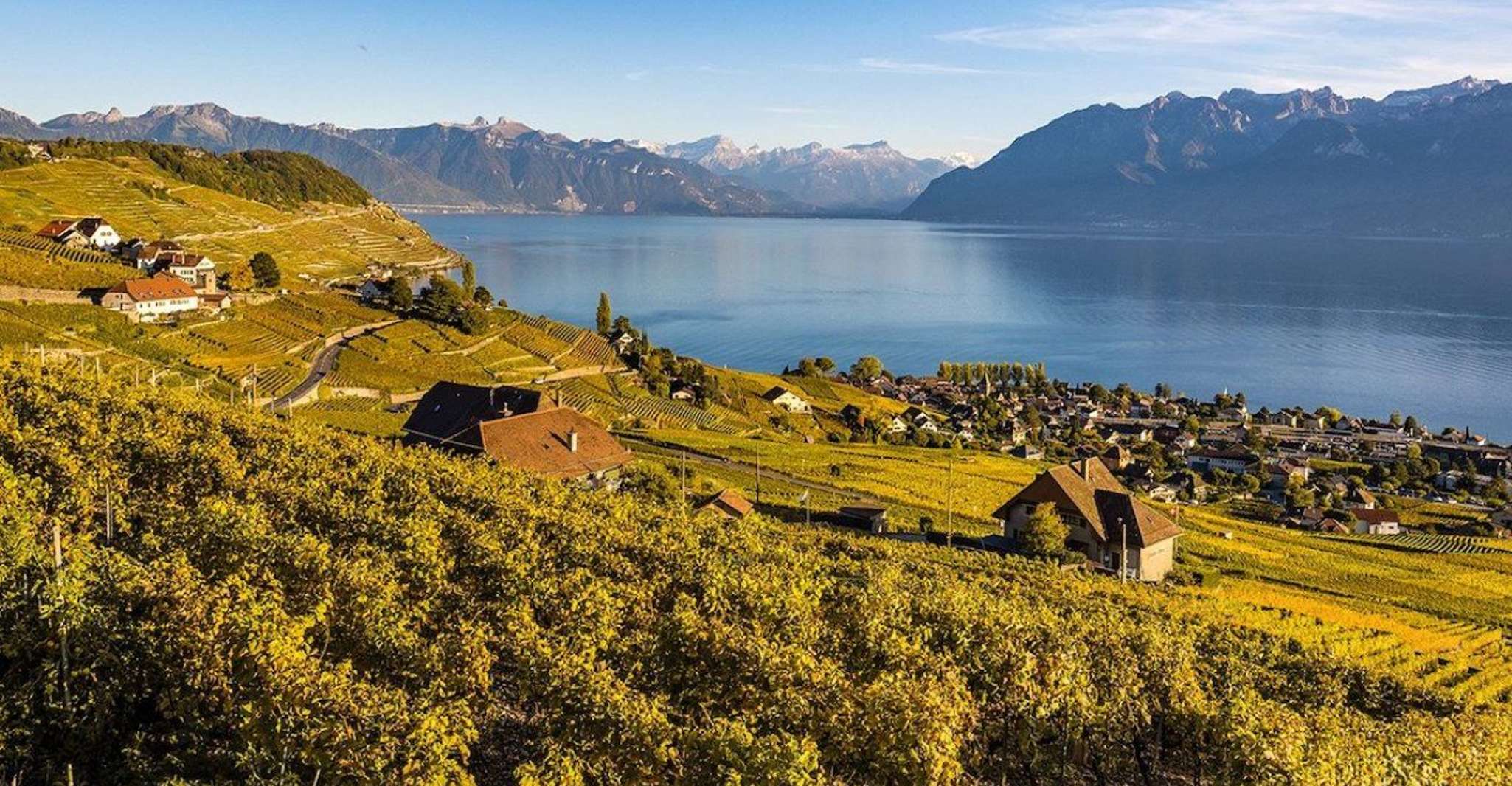 Tour pubblici la domenica a Lavaux in francese - Housity