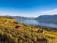 Visites publiques le dimanche à Lavaux en français - Housity