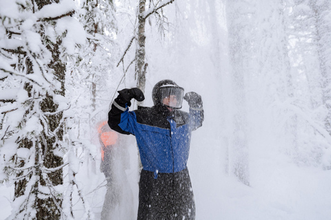 Rovaniemi: Family Snowmobile Safari Shared Driving, 2 Adults on 1 Snowmobile