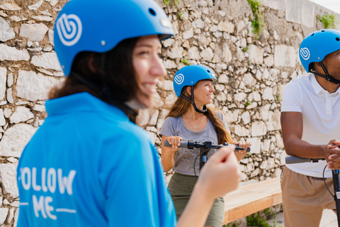 Nizza: tour panoramico in scooter elettrico di 1h301h30