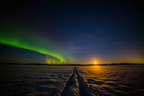 Rovaniemi: Snöskotertur på jakt efter norrskenDelad körning 2 vuxna per snöskoter