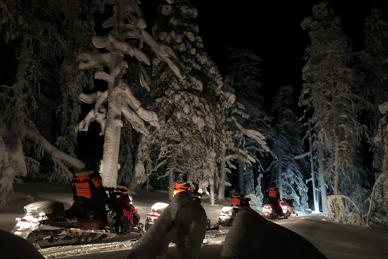 Rovaniemi: Snöskotertur på jakt efter norrskenDelad körning 2 vuxna per snöskoter