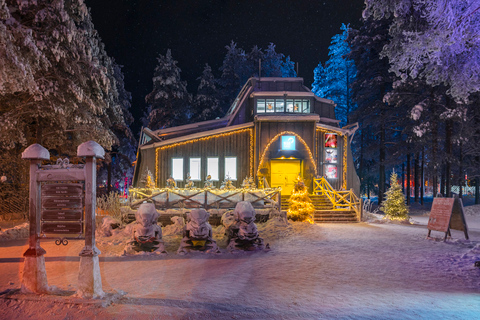 Rovaniemi: Viagem de snowmobile em busca da aurora borealCondução Compartilhada 2 Adultos por Snowmobile