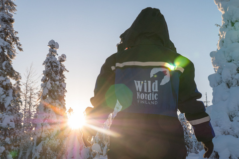 Rovaniemi : Tour d&#039;aventure en motoneige pour adultes seulementMotoneige Double Rider