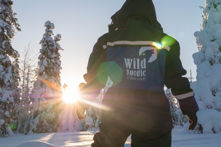 Rovaniemi : Tour d&#039;aventure en motoneige pour adultes seulementMotoneige Double Rider