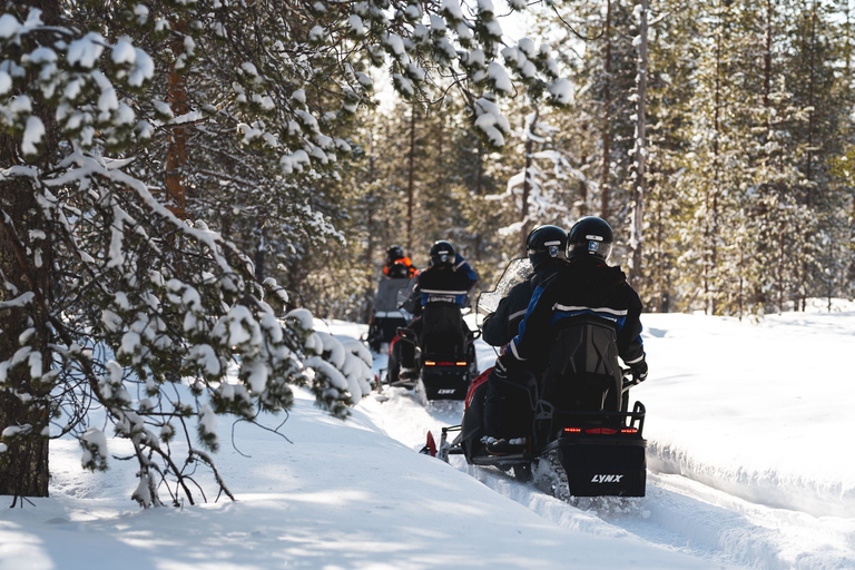 Rovaniemi: Excursión de aventura en moto de nieve sólo para adultosMoto de Nieve Doble