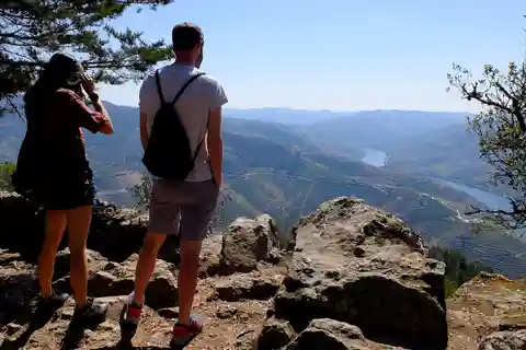 From Porto: Douro Region Private Food and Wine Day Tour