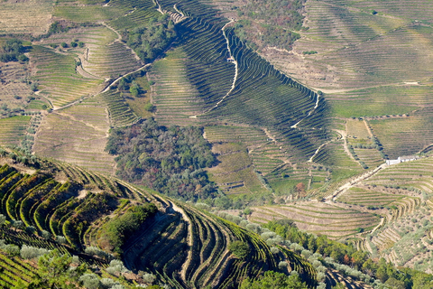 Från Porto: Douro-regionens privata mat- och vindagstur