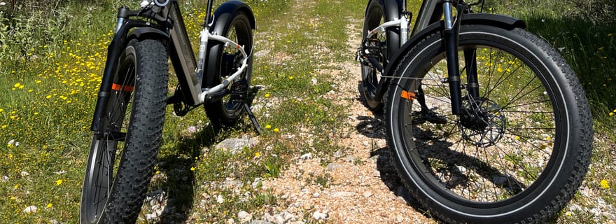 Tours et locations de Fat Bike électriques autoguidés