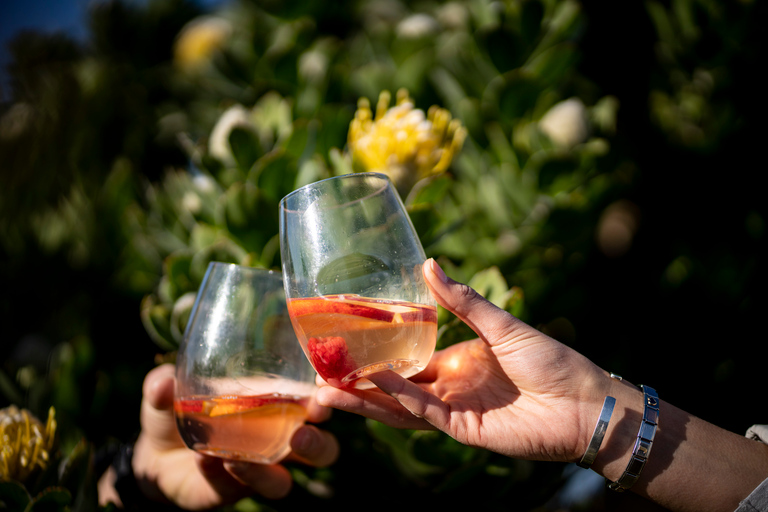 Città del Capo: Gin &amp; Tonic in montagnaGin &amp; Tonic in montagna con Inverroche Gin