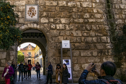 Seville: Cathedral & Real Alcazar Private Tour with tickets