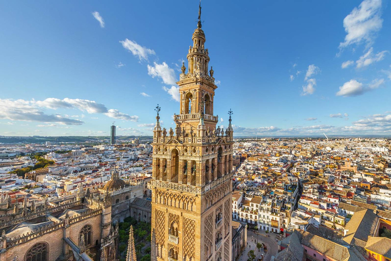Seville: Cathedral & Real Alcazar Private Tour with tickets