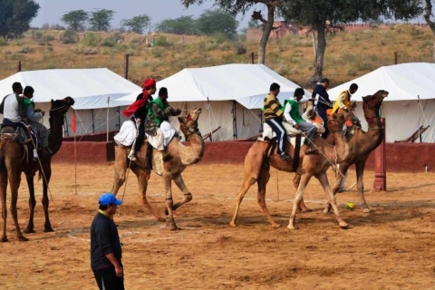 Van Jodhpur: overnachting kamperen met kameelsafari in Jodhpur