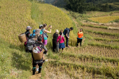 Hanoi - Sa Pa 2 Tagesausflug Ethnische Gastfamilie Tour mit Trekking