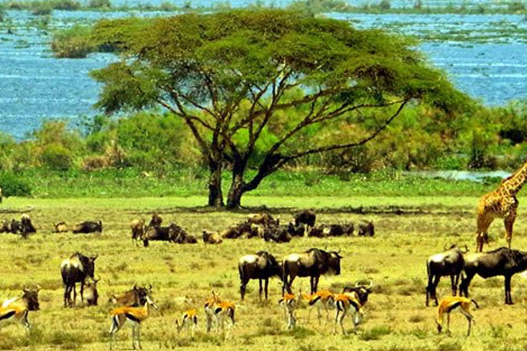 TOUR DI UN GIORNO AL LAGO NAIVASHA, CRESCENT ISLAND E HELL&#039;S GATE